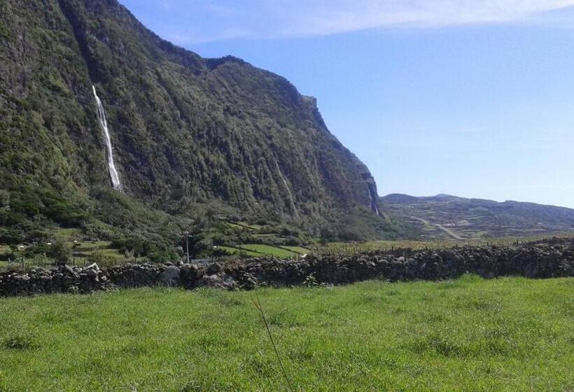 膳宿费 Residencia Mateus