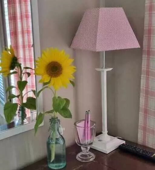 Majatalo Wanha Neuvola Guesthouse