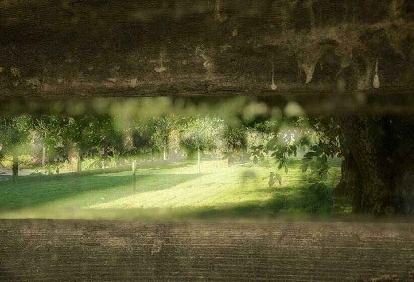 B&b Den Boomgaard Moorsel