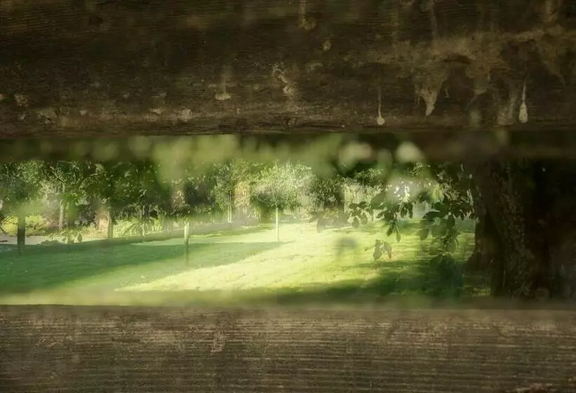 B&b Den Boomgaard Moorsel