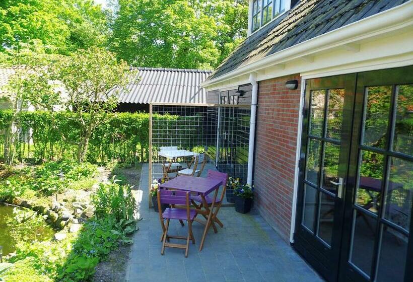 Bed and Breakfast T Laaisterplakky