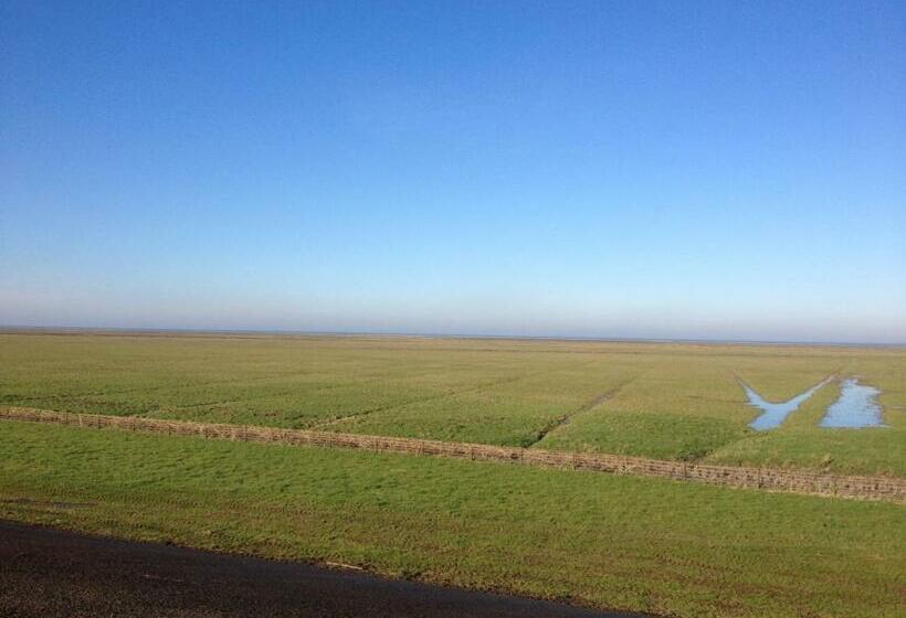 Bed and Breakfast T Laaisterplakky