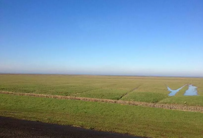 ベッドアンドブレックファースト T Laaisterplakky