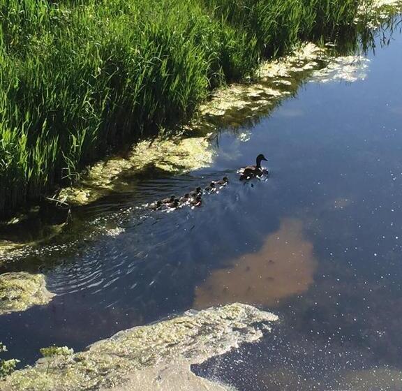 Bed and Breakfast T Laaisterplakky