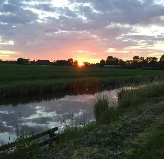 ベッドアンドブレックファースト T Laaisterplakky