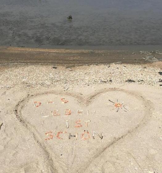 Bed and Breakfast T Laaisterplakky