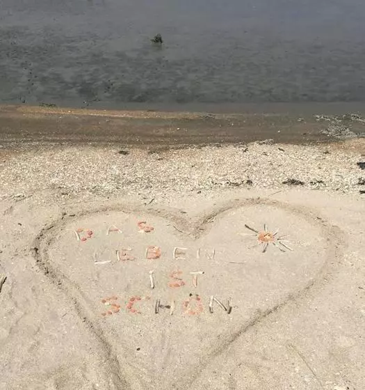 ベッドアンドブレックファースト T Laaisterplakky