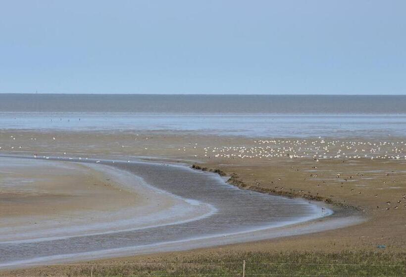 Bed and Breakfast T Laaisterplakky