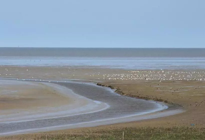 ベッドアンドブレックファースト T Laaisterplakky