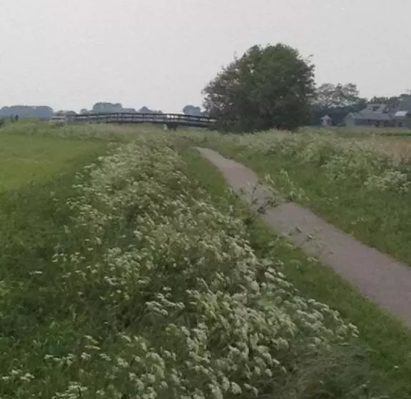 ベッドアンドブレックファースト T Laaisterplakky