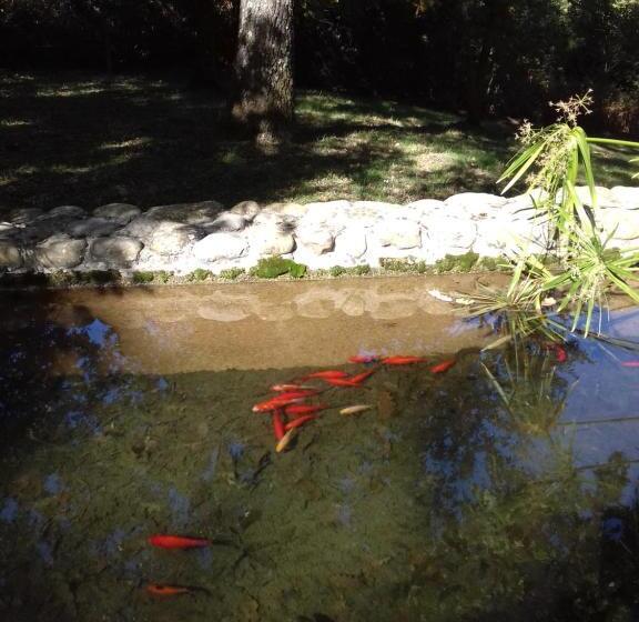 בית מלון כפרי Pò Delle Buche