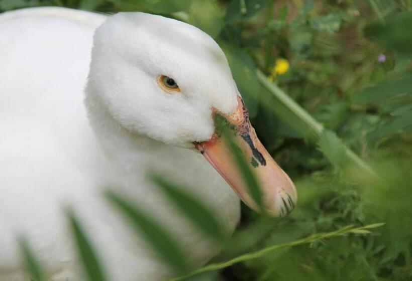 בית מלון כפרי Pò Delle Buche