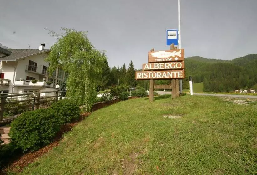 ホテル Steinerhof