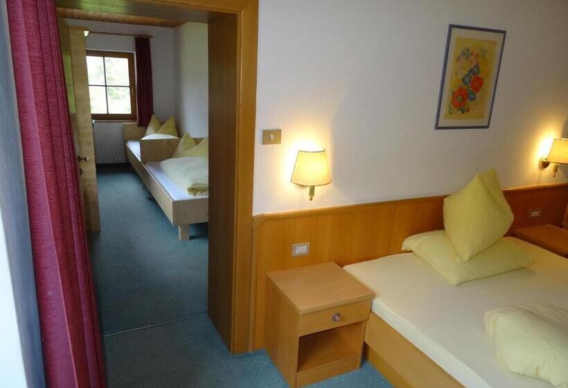 Отель Steinerhof