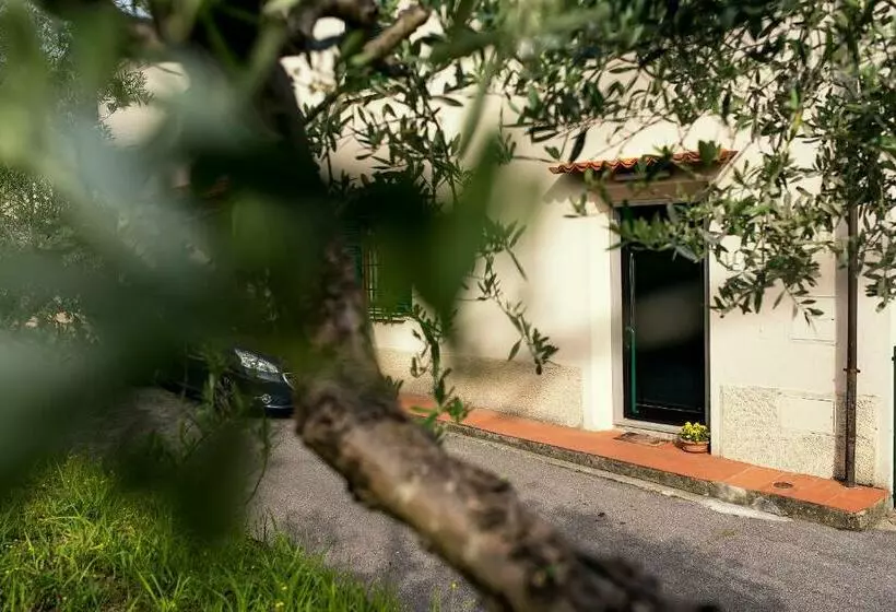 Majatalo Affittacamere Donati Nada