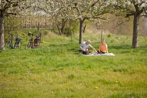 B&b De Kersentuin