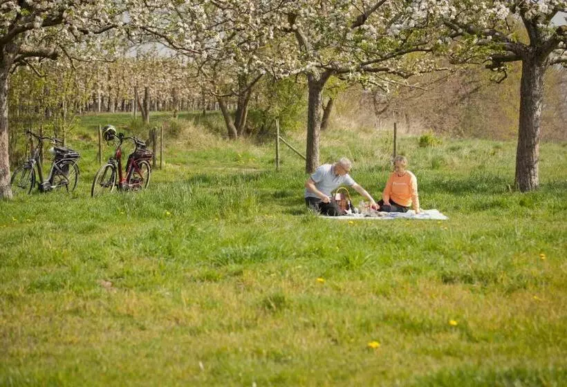 B&b De Kersentuin