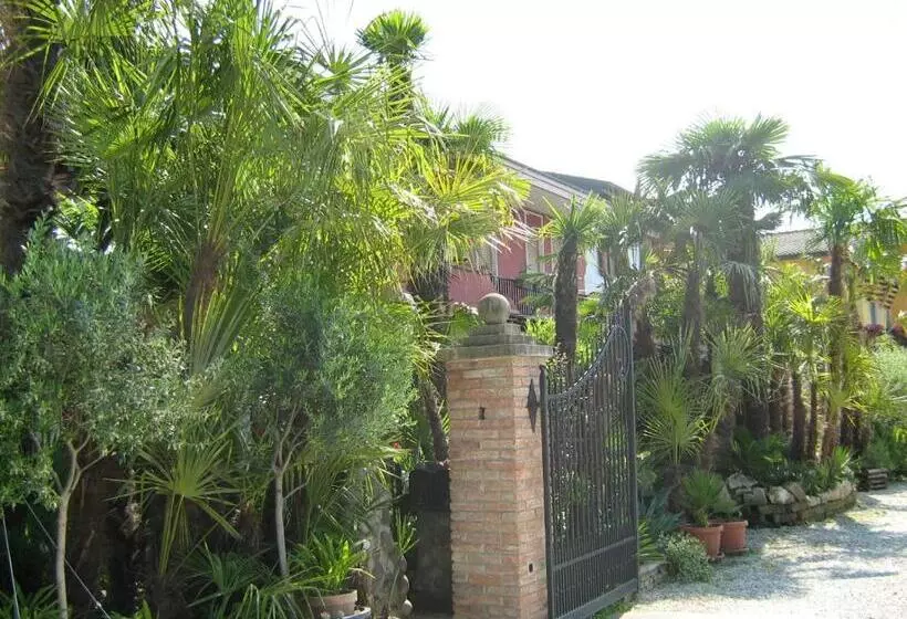 B&b Le Palme D Oro