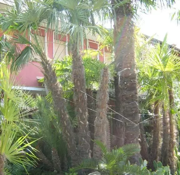 B&b Le Palme D Oro