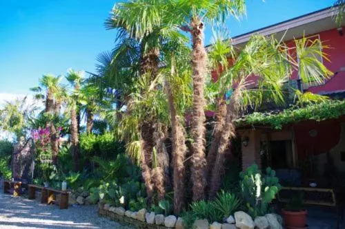 B&b Le Palme D Oro