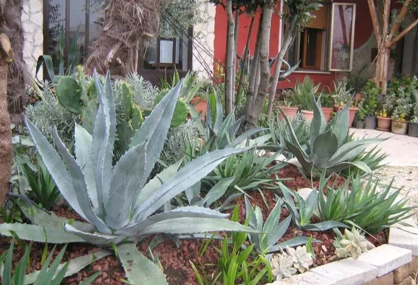 B&b Le Palme D Oro