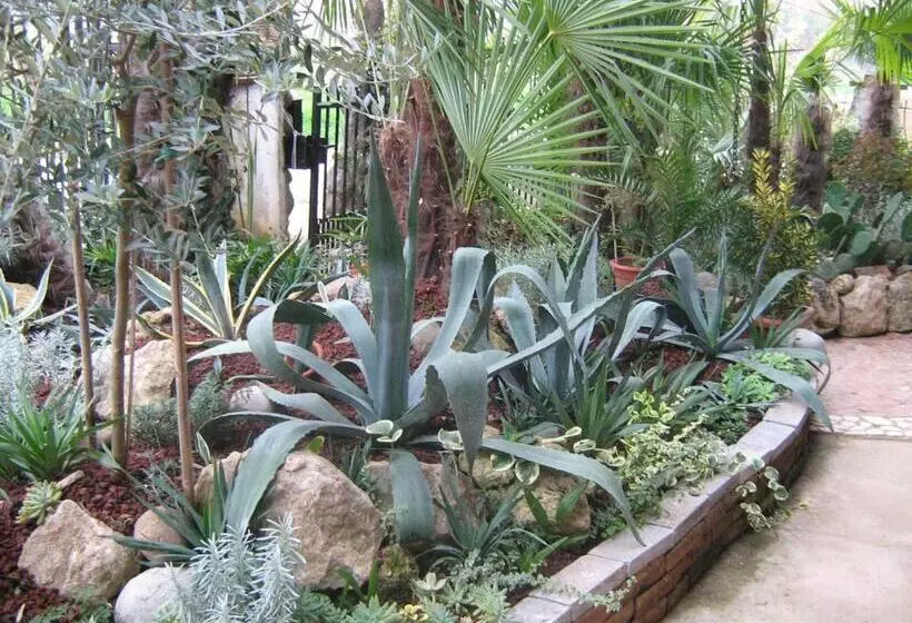 B&b Le Palme D Oro