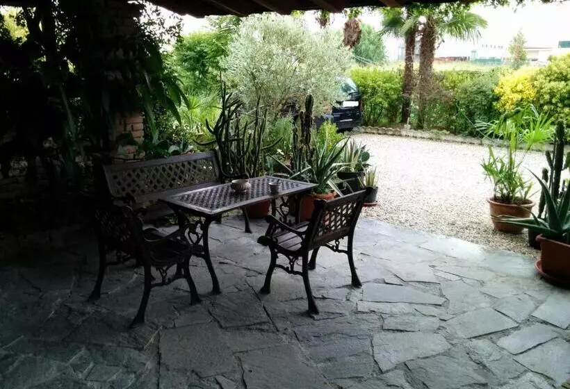 B&b Le Palme D Oro