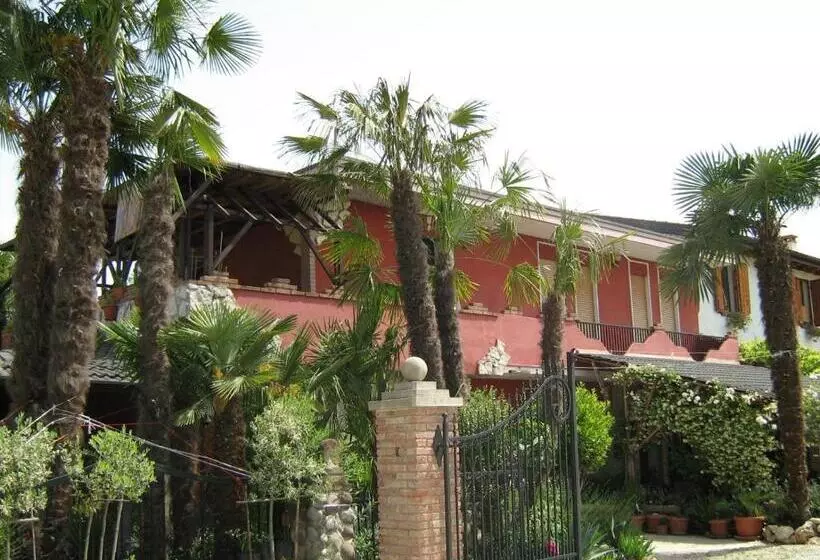 B&b Le Palme D Oro