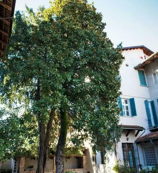 ベッドアンドブレックファースト Antica Magnolia