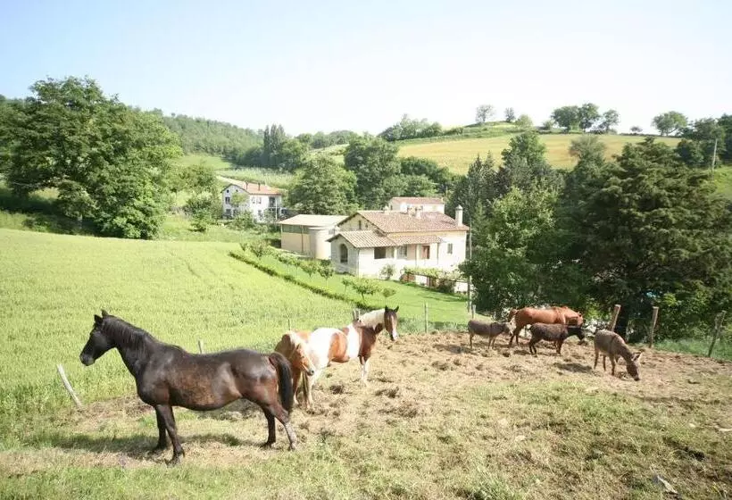 Hotelli Borgo Di Cortolla