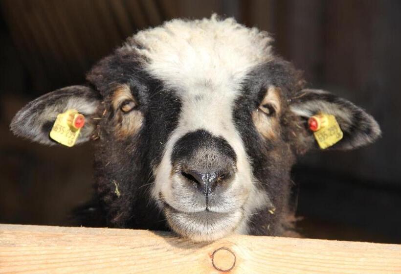 Hotelli Urlaub Am Bio Bauernhof Liebchen