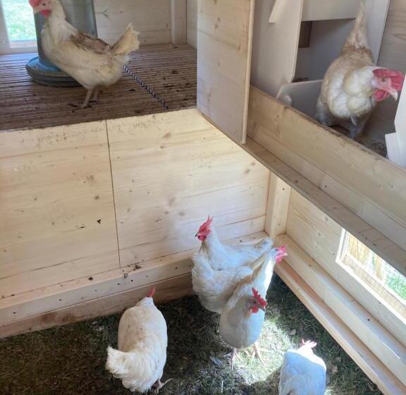 Hotelli Urlaub Am Bio Bauernhof Liebchen