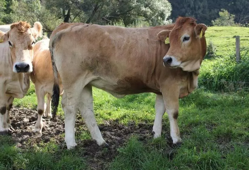 ホテル Urlaub Am Bio Bauernhof Liebchen
