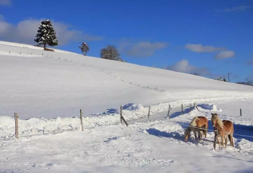 ホテル Urlaub Am Bio Bauernhof Liebchen