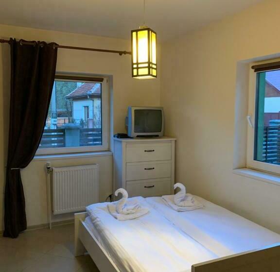 Пансион Dorf Haus Valiug