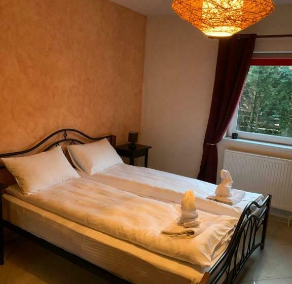 Пансион Dorf Haus Valiug