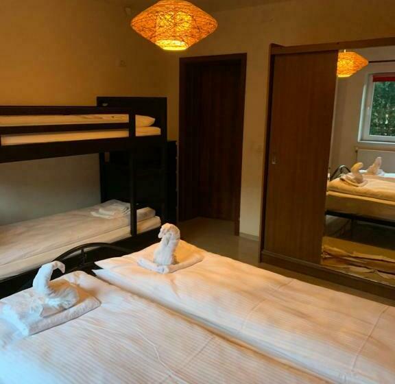 Пансион Dorf Haus Valiug