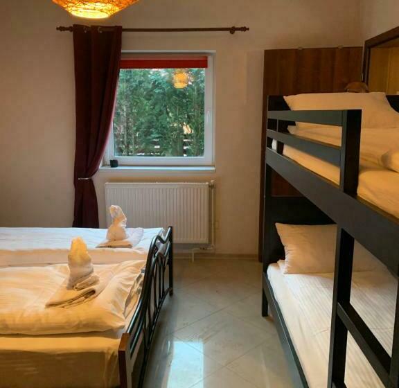 Пансион Dorf Haus Valiug