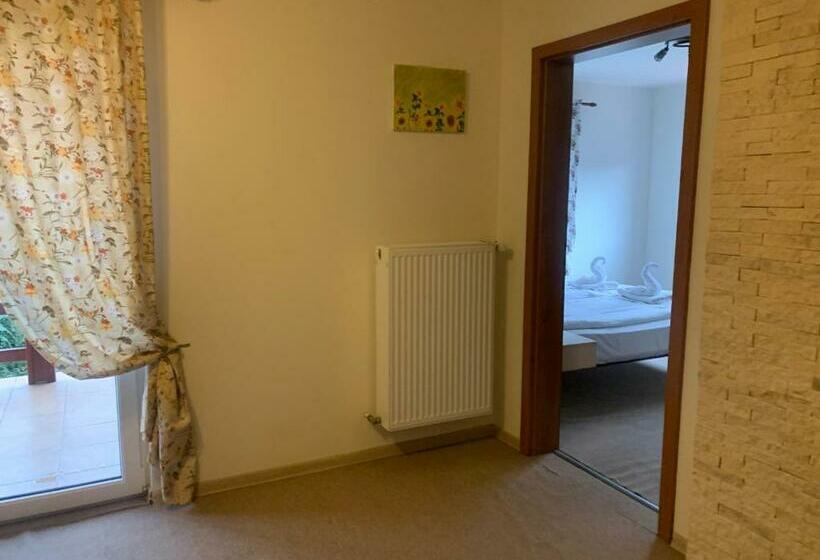 Пансион Dorf Haus Valiug