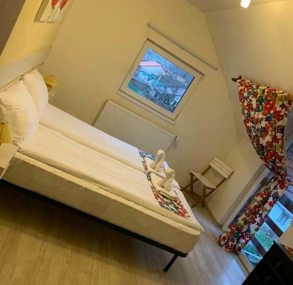 Пансион Dorf Haus Valiug