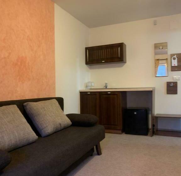 Пансион Dorf Haus Valiug