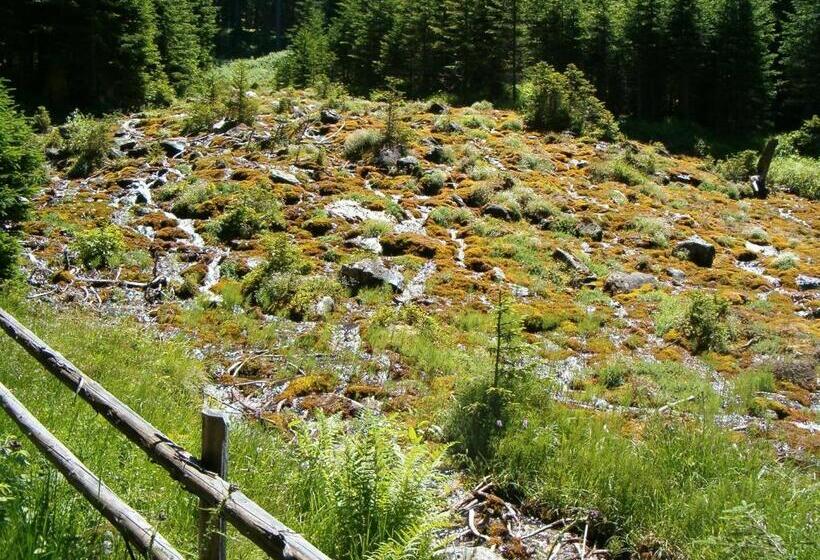 ペンション Haus Erna