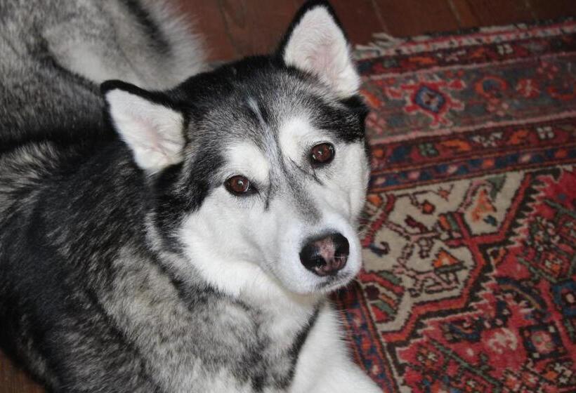 B&b Chatelet Cremers