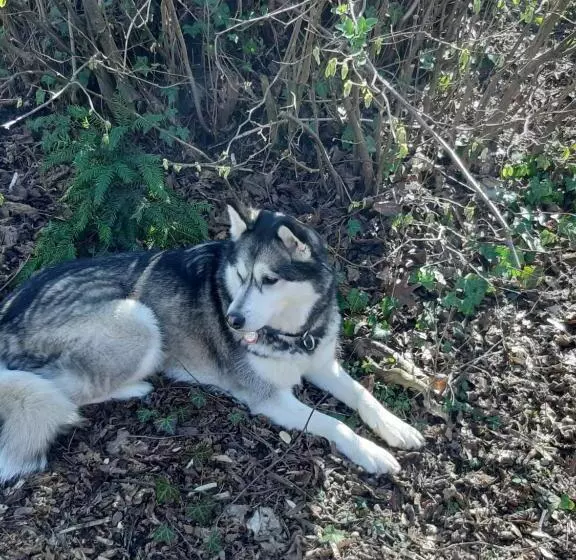 B&b Chatelet Cremers