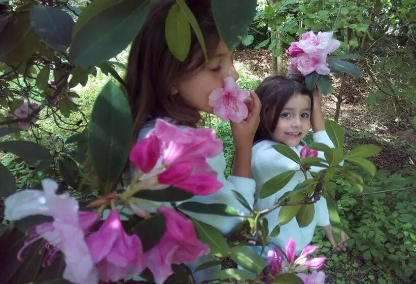 B&b Chatelet Cremers