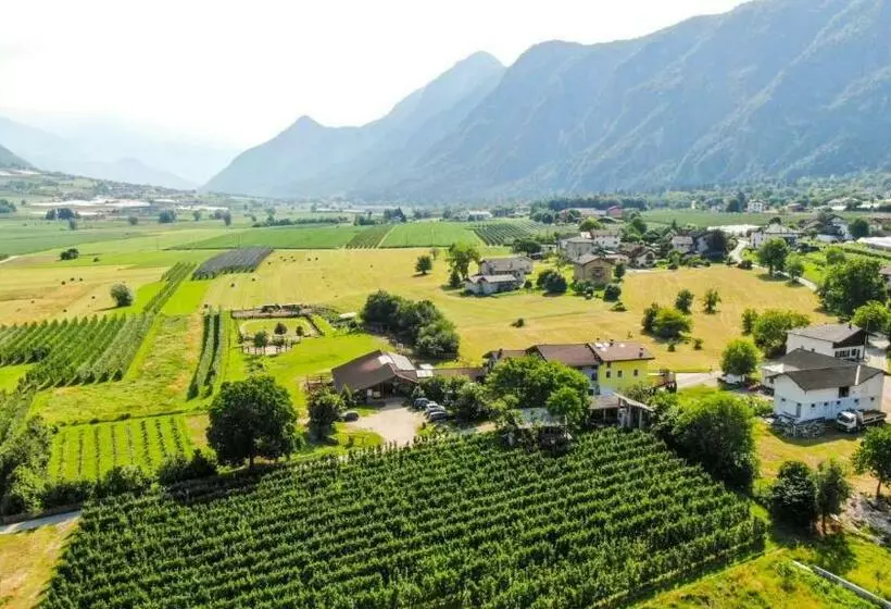تختخواب و صبحانه Agritur Airone Bed & Camping