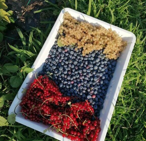 Nocleg ze śniadaniem Agritur Airone Bed & Camping