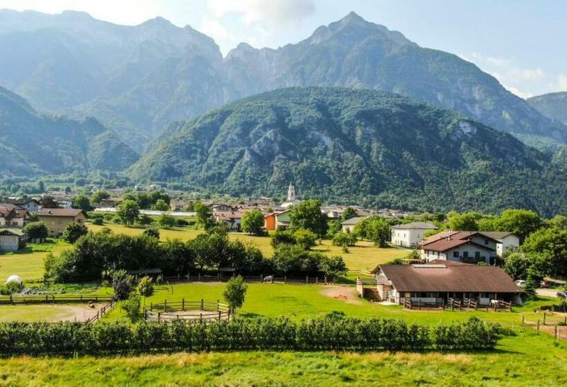 Nocleg ze śniadaniem Agritur Airone Bed & Camping