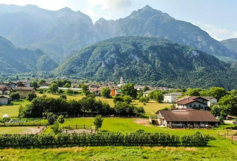 تختخواب و صبحانه Agritur Airone Bed & Camping