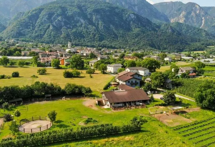 تختخواب و صبحانه Agritur Airone Bed & Camping